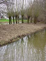 environmental installation - site specific sculpture and landscape design - site specific works, installations and projects